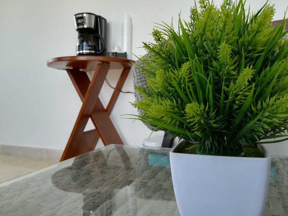 Casa Centenario Cartagena Ngoại thất bức ảnh